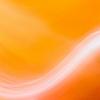 Orange Delight